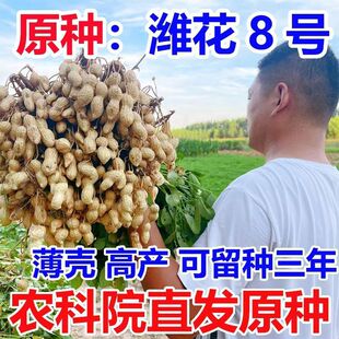 ���߮a�����N���r��Ժ���������H��8̖�����N��2024��Ʒ�N