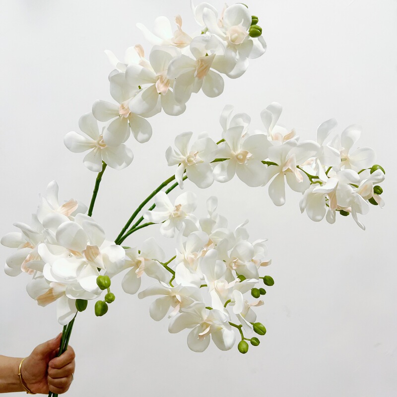 Hanyang Artificial High-Quality Bandai Orchid Home Soft Corsage Hand-Held Flower Design Wedding Floral Photo Props Hanyang Artificial High-Quality Bandai Orchid Home Soft Corsage Hand-Held Flower Design Wedding Floral Photo Props