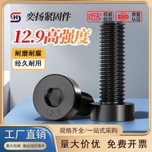 12.9�����^�������ݽzDIN7984���^���^��˨M3M4M5M6M8M10M12-M24