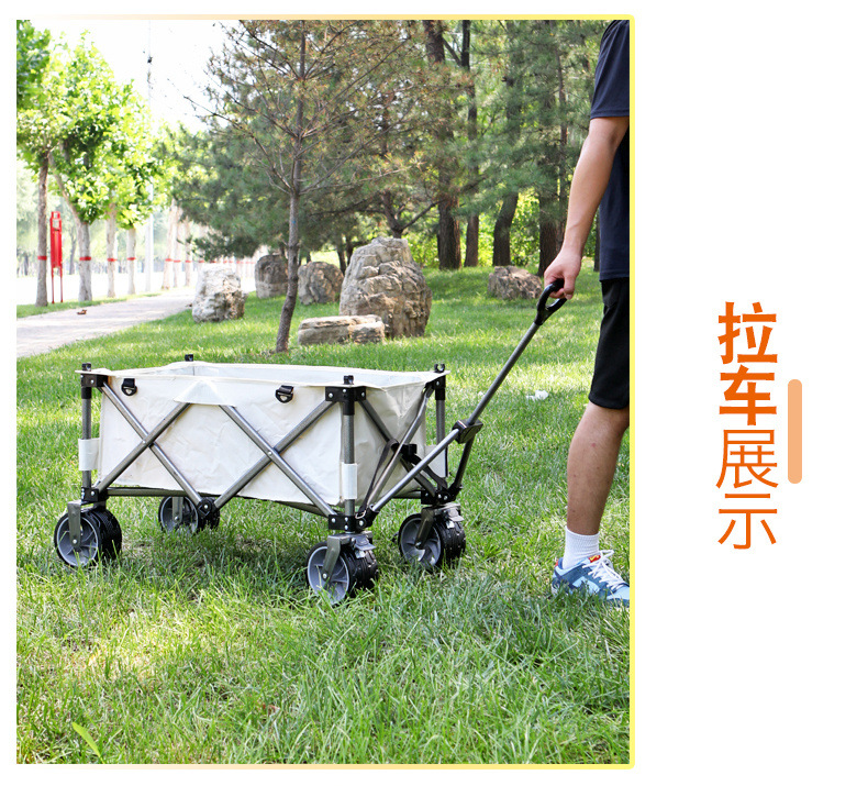 46e6d316-e7c5-4e8b-a919-c855c0a96943.jpe