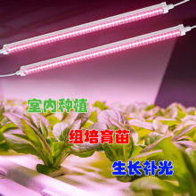 ֲ���ȫ���V36w����ֲ���a���t8��ˮ���l�҃�����ֲ��ˮ������