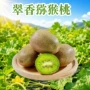 陕西代发大果新鲜奇异果