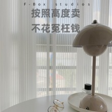 竖百叶网红梦幻帘白纱窗帘透光不透人客厅阳台卧室竖条纹窗纱专货