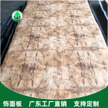 ��ľ���塿 ɽ�������ľƤ ����ľƤ���� �ϙ����ľƤ ����