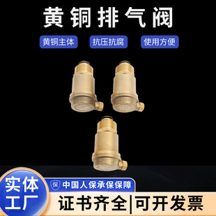 �S�����l�S�~�ߜظ߉�ů���Ԅӿ��ن����Ś��y�ԄӷŚ��yй���y