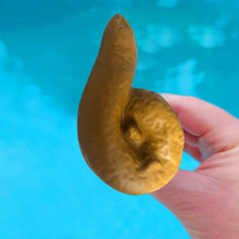 �羳��ƷPoop pool thermometer����������Ӿ�؜ض�ӋƯ�����