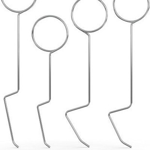 �羳���͏����T�i�S�޹��� ���NƷ