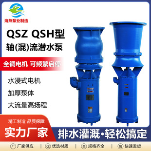 QSZ/QSH�S��ʽ��ˮ��С�^�����þ��^Ȫ�������ߓP�̹��ˮ��