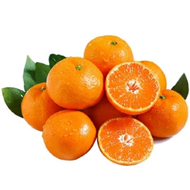 块茎类;苹果;其他水果