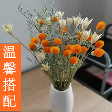 ��ϸɻ��滨�Ҿ��b廨��������ݮ��ƿ�[���͏d�M�����p��