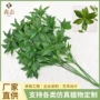 植物手感定制叶子绿植