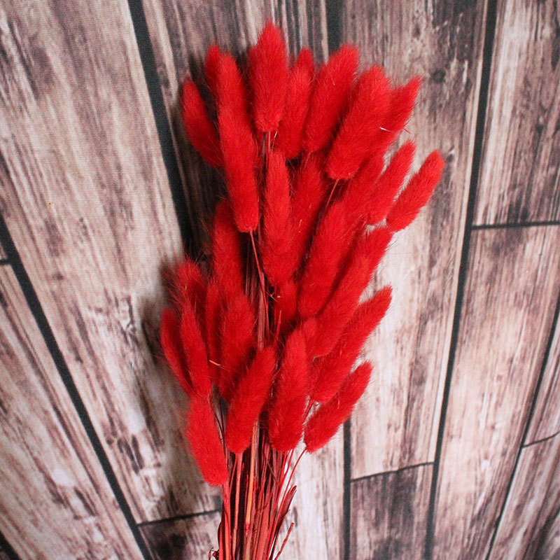 11900807807_511691582