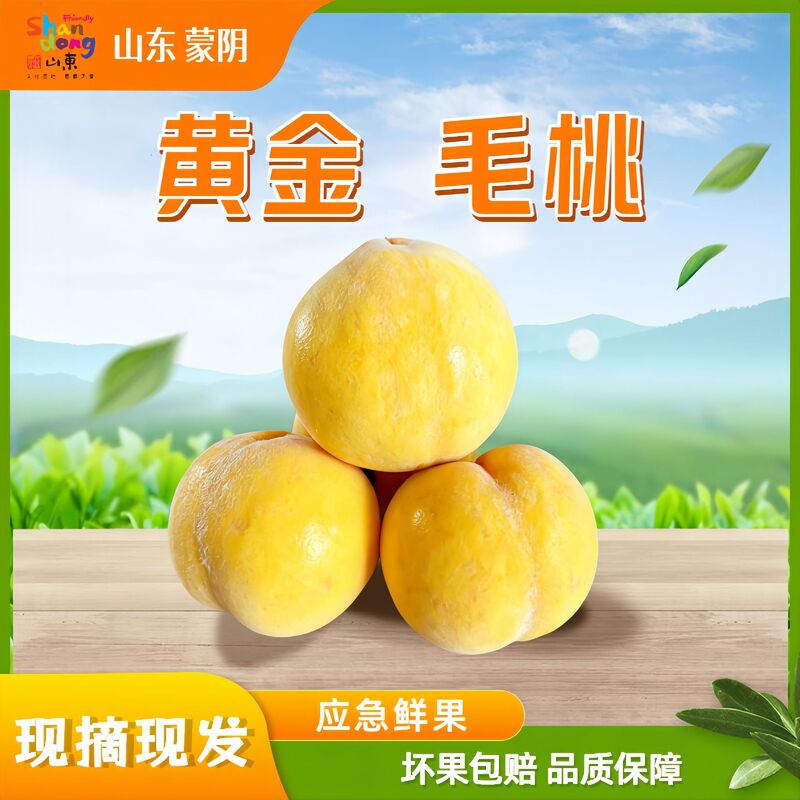Shandong Yellow Peaches, Seasonal Fruit, Mengyin Yellow Peaches, Free Shipping, Direct Delivery from the Place of Origin, Yellow Peaches, One-Piece Drop Shipping
