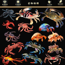 ��ͯ����������挍���зģ������з�Ӽ�зҬ��з����з֩��з