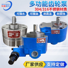 耐高温耐腐蚀大小流量不锈钢齿轮泵 液压机油双向润滑油泵 胶水泵