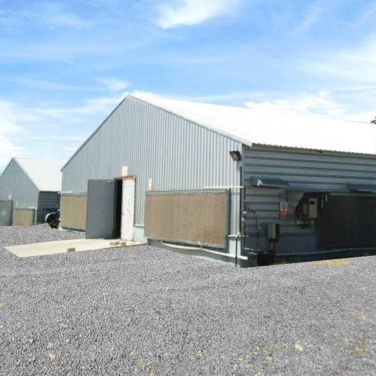 Оборудование для птицеводства и животноводства: конструкции из стали Q235, стальная сетка, клетки для яиц, дизайн курятников для разведения.