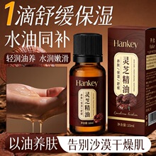 韩纪灵芝精油10ml滋润保湿舒缓面部身体按摩油植物复方精油批发