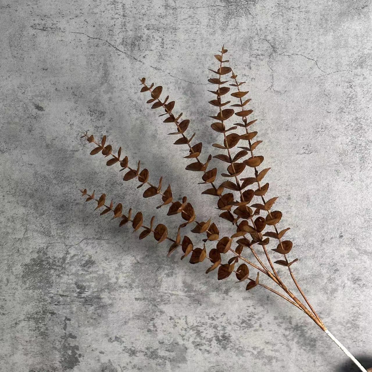 다크 다크 브라운