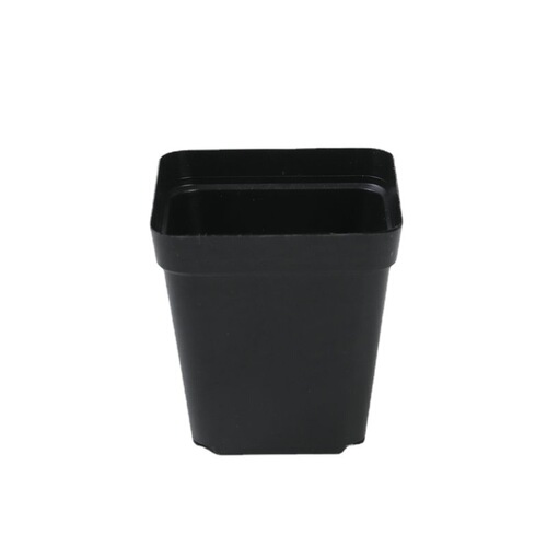 Black Square Plastic Seedling Pots for Export and Cross-border Wholesale Base, Planting Thick Square Seedling Cups