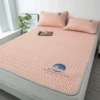 Mount Fuji-Sakura Powder bed