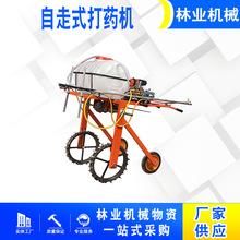 rַʽșCrșCС߲׵؇FC