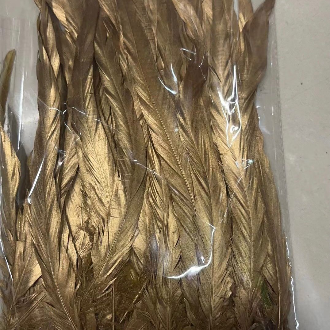 2024-06-12 14:37:55.jpg