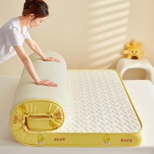 New Simple Cartoon Silicone Sponge Mattress Panda Yellow Duck Style Home Student Dormitory Rental Special Tatami