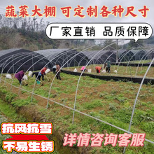 ���Ҵ���S�� �߲˴��� �Bֳ���� �Nֲ���� ��ݮ���ϻ��ܴ���Ǽ�