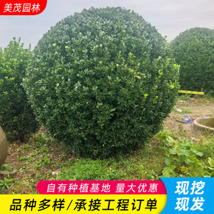 ���~�S������� ������ڷ�1-3�� ���Թ��� ���̾G����ľ������