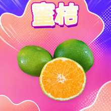 云南玉溪青皮蜜桔 代发3/1/5/8斤早熟蜜橘特大果3/5/8斤新鲜水果