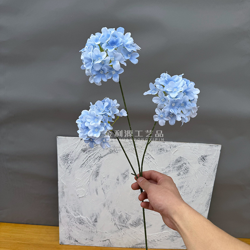 Snowflake Wood Hydrangea Sky Blue