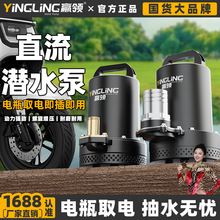 �A�Iֱ����ˮ��48v60v72v늄�܇�ƿ܇���ó�ˮ��12v24v�r�Ý���