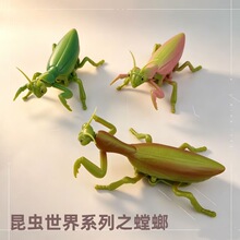 �羳�������������x����l�l����������ģ�̓�ͯ����С��ߔ[��