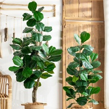 Wֲ~ŴͷپGֲ҃ȿ͏db辰[