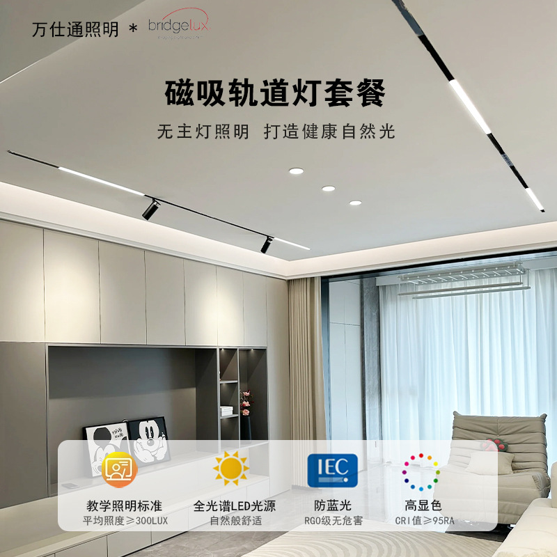 Magnetic track light for home living room, dining room, bedroom, low voltage track light, smart embedded main light lighting spotlight