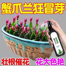 зצ�m������ϡጠI�BҺ�߼��ٻ��G�~�Ѹ��I�BҺֲ�����~��һ���G