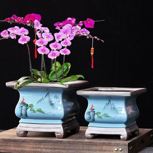 �����m���û�����ɰ��С̖�մɼ��Ï͹ź��s�����m������Gֲ���P