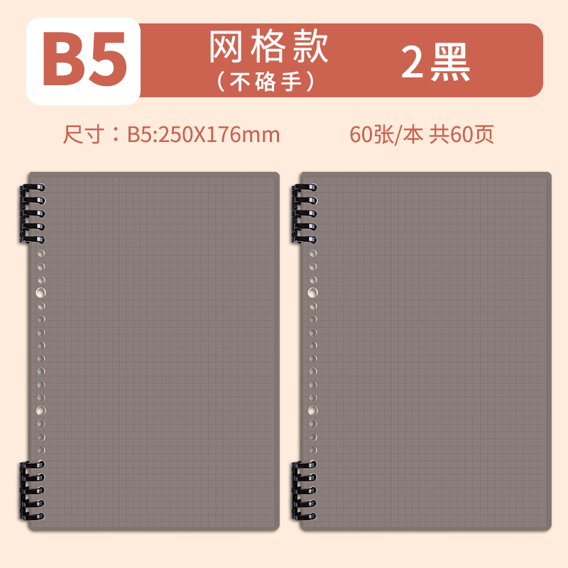 B5 • Black • Grid • 2 books