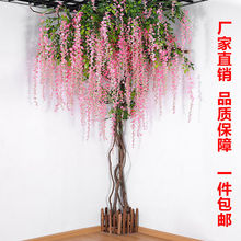 ٻٻ_m픻ټ҃Ȼcblֲ