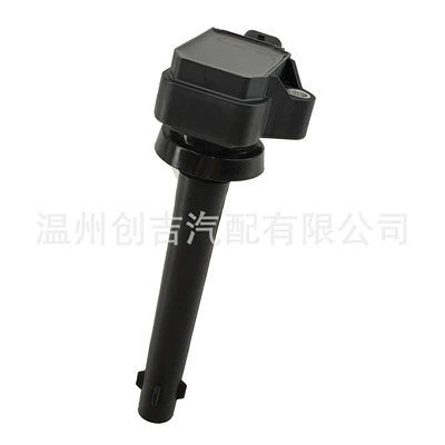 Alovlanma bobini (Babinalar) Auto Parts 407.3705
