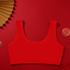 无钢圈文胸;女士家居服;少女文胸