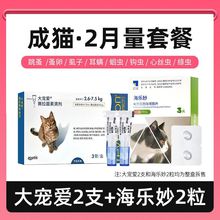 󌙐۰݌xײwһwx؈؈xșxxș