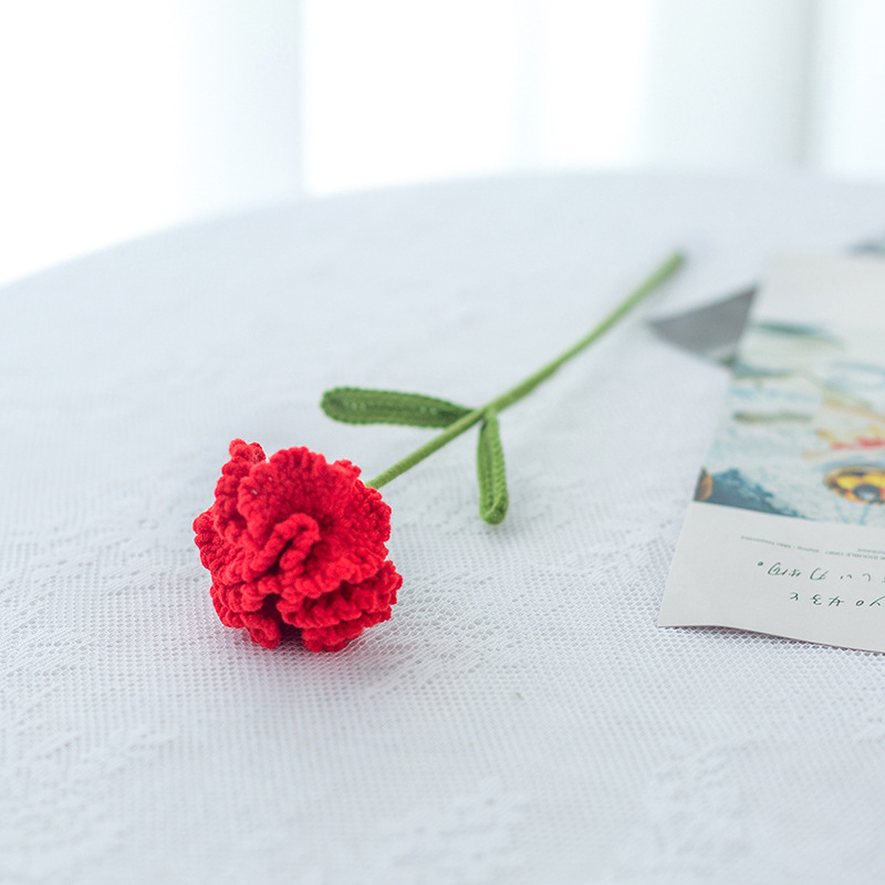 완성 된 레드 카네이션 단일 잎 랜덤