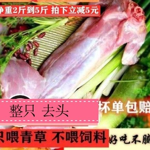 �������r��ֻ�r��ɢ�B����חl���������^���������]����