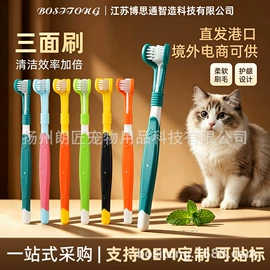 狗狗清洁;口腔清洁;宠物梳子