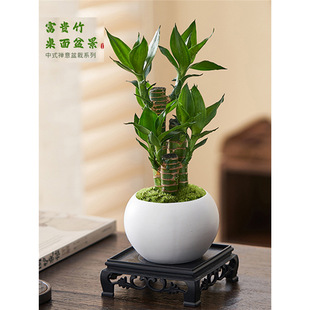 ���F���҃�ֲ�﹝��������Gֲ���B�����߻����Ĳ���͏d��ؔ����