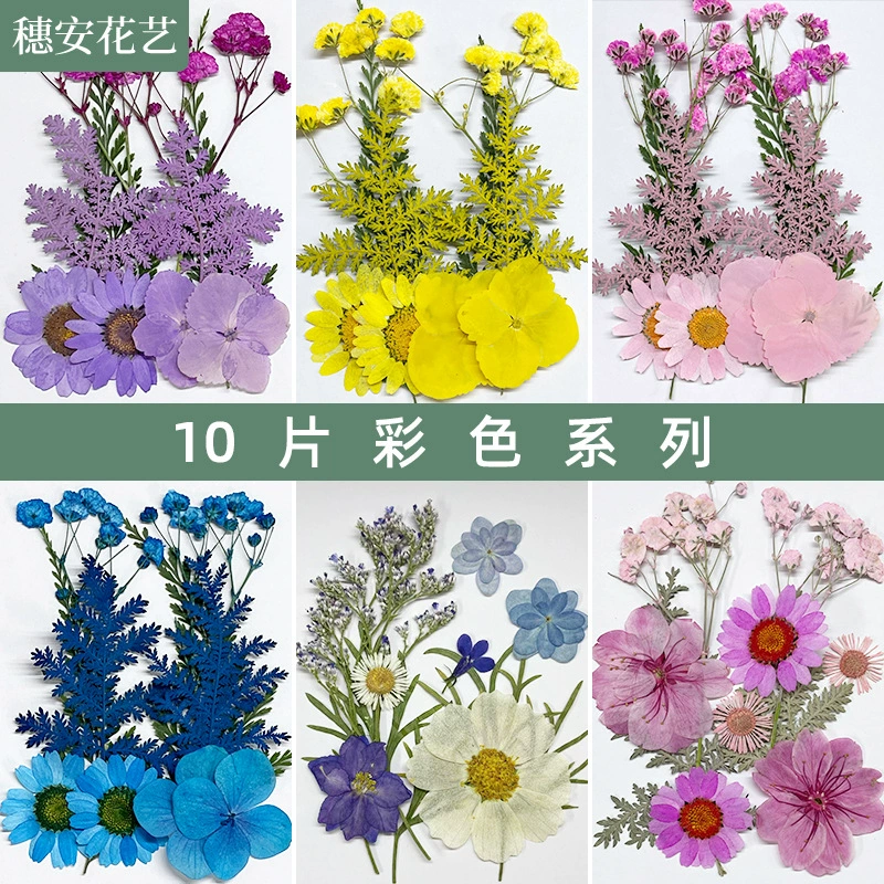 Тщательно отобранный набор материалов для творчества из прессованных сухих цветов, красочные цветочные наклейки из смолы для телефона, закладки из прессованных цветов, набор из круглых веерных сухих цветов.