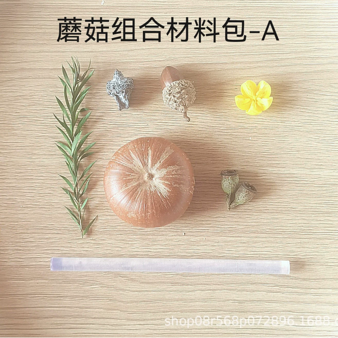 Сушёные натуральные растения и цветы для DIY, креативные подарки, украшения для дома и авто, командные мастер-классы, рукоделие