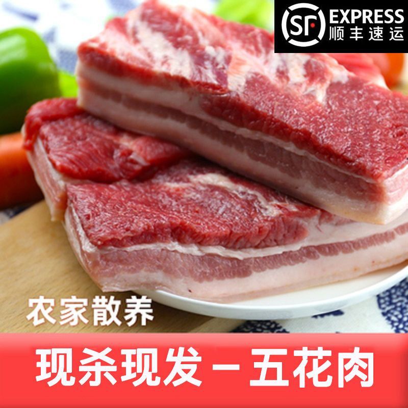 猪肉鲜肉新鲜五花肉肉食类批发现杀猪肉五花肉生猪肉带皮生鲜代发