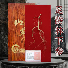 �������l�|���خa60cm�˅�ɽ����������ľ�жY�й������S�ֶY